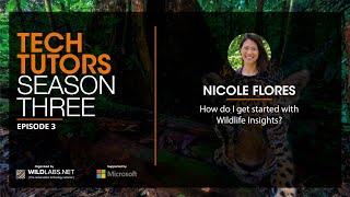 Nicole Flores: How do I get started with Wildlife Insights?