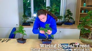  Introduction to Bonsai Tree Wiring Kit 