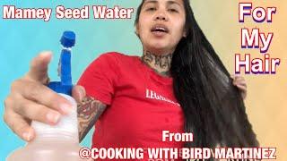 Mamey Seed Water for my Hair from @Cooking with Bird Martinez