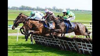 Maeve's Choice - 2019 Fairyhouse Steel Handicap Hurdle (Build Up, Race & Reaction)