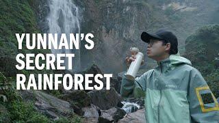 ASMR | Hiking In Yunnan’s Secret Rainforest | adidas TERREX​