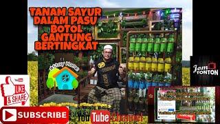 PROJEK DIY DI RUMAH - Tutorial Tanam Sayur Dalam Pasu Botol Plastik Gantung Bertingkat Bewarna Warni