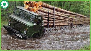 Biggest Logging Wood Truck Driving Skills Heavy Equipment Loading Climbing Working