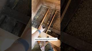 Провалился пол,мобильные бани проект ГаммаХаус #дача #каркасныедомаспб #мобильныебани #строительство
