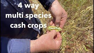 On-farm with Martin and Darren - 4 Way Multi Species Cash Crop - Regenerative Farming Revolution