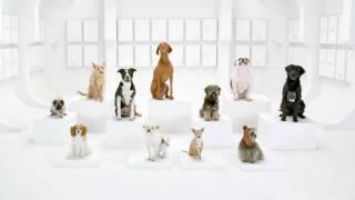 Tierisch Witzig - Hunde bellen den Star Wars Jingle - der neue TV Spot von VW