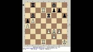 Martirosyan, Haik M  vs Murzin, Volodar | Stepan Avagyan Memorial Chess 2024, Jermuk Armenia