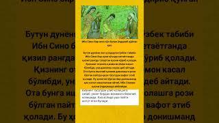 Ибн Сино бир оғиз сўз билан #tiktok #rek #hikmatlar #rekkkkkk #hadis #youtubeshorts