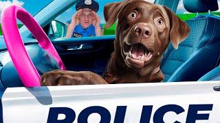 We are in the car Police Song and Best Nursery Rhymes & Children's Song The Wheels on the Bus