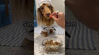 Simple 3 ingredient dog treats #dogtreats #homemade #recipe #dachshund #dog