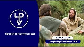 Evangelio del día 16 de octubre de 2024, P. Tommy Nin Mitchell, ISch (desde Tuparendá, Paraguay)