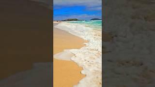 Beach in Fuerteventura   Riu Oliva Beach 