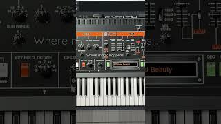 Roland’s circuit mod on the v2 plugouts - where magic happens :)