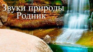 Звуки воды. Чистый горный родник. Программа для сна и релаксации