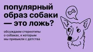 Популярный образ собаки — это ложь? Стереотипы о собаках, часть 2