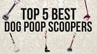 Top 5 Best Dog Poop Scoopers