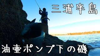 【油壷ポンプ下】三浦半島新規開拓してみた【磯釣り、メジナ釣り、フカセ釣り】