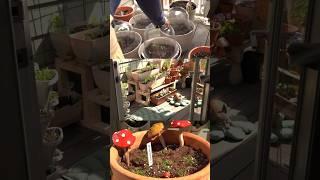 ‍ Growing vegetables in my small balcony garden @slowlifestories