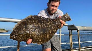 Fluke on Live Snappers 7/28/23 Surf Fishing Long Island