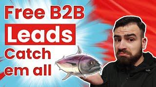 12 Proven Strategies to Generate B2B Leads for FREE