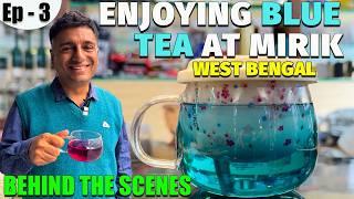 EP - 3 BTS Mirik to Darjeeling, West Bengal |  Blue Tea tasting, Nursery visit