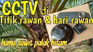 pasang cctv nya di titik rawan dan hari rawan