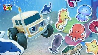 Treasure hunt play with tomoncar! Learning the names of sea creatures nursery rhyme Kids Songs