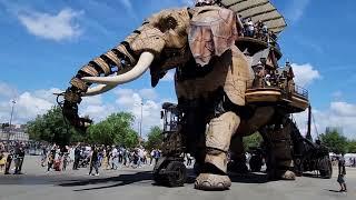 Le Grand Éléphant de Nantes - 10.06.2023