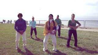 World Tai Chi & Qi Gong Day Part 2 2010 Santa Cruz CA