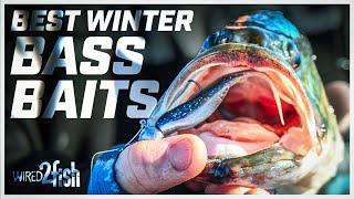 Deep Winter Bass | Best Baits, Tactics, and Sonar Tips