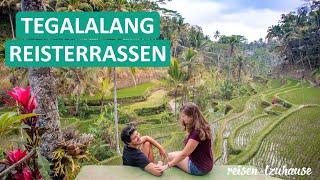 Tegalalang Reisterrassen Bali & verrückte Affen im Ubud Monkey Forest ● Weltreise Vlog #020