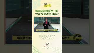 绝望状态的孤注一掷   尹锡悦是政治自杀? #八点最热报 #尹锡悦 #韩国 #戒严