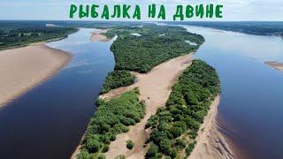 Поехали с Темкой на Двину порыбачить! Все еще в деревне)