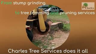 Charles Tree Services - tree removal yarrawarrah