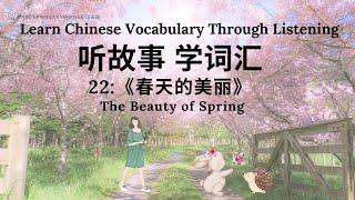 【听故事，学词汇】22 Learn Chinese Through Stories, Enhance Chinese Listening and Vocabulary 提高中文听力