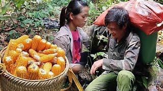 One day, harvesting corn, herding buffalo far away in the fields, the weather was incredibly hot