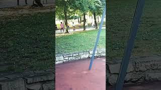 Активная старость в Испании #испания#здоровье#shots#shotsvideo#испаниявлог#shotstrend#