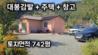 227번) 대봉감밭 주택 창고 의령주택 매매 귀농 귀촌 주말농장 의령전원주택 자굴산옆 의령시골집 땅선생