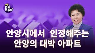 안양시의2040 기본계획에 따른 비산동과 관양동의 생활권계획을 소개합니다