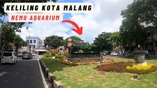 Kota Malang 2024 - ada Aquarium Ikan Koi OUTDOOR 