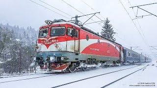 Diverse trenuri prin zăpadă în România / Winter Trains in Romania