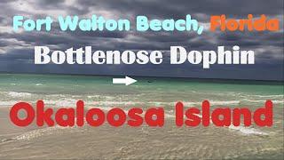 Fort Walton Beach on Okaloosa Island Florida.  Laid-back beach trip.