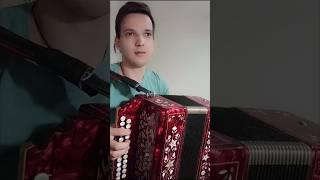 Одинокая гармонь #гармонь #песниподгармонь #народныепесни #песня