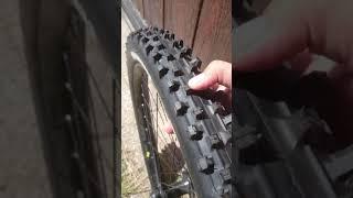 Wetscream maxxis DH tire