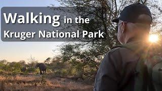 Walking in the Kruger National Park [Re-upload with sound fixed]