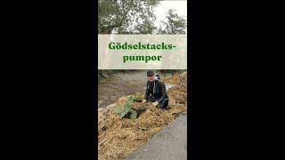 Gödselstackspumpor