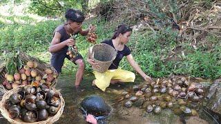 Survival in the rainforest, Catch and cook snails for survival food, Survival cooking