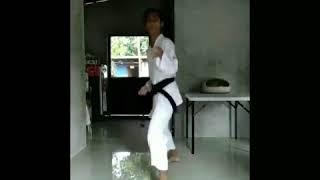 ACE MARTAL - AKKR HONBU DOJO