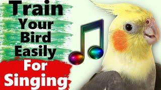 Cockatiel Singing  and Whistle Training Songs