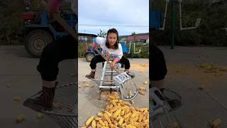 With This Tool She Finished The Job Quickly | Amazing Farming Tool #shorts #satisfying